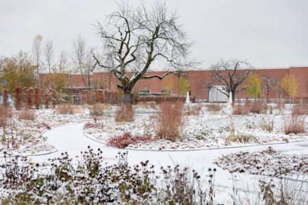 Vitra. Piet Outdolf. Paisaje con naturaleza | vitra architecture park12