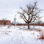 Vitra. Piet Outdolf. Paisaje con naturaleza | vitra architecture park13