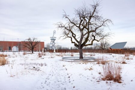 Vitra. Piet Outdolf. Paisaje con naturaleza | vitra architecture park13
