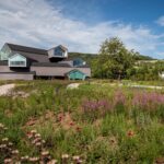 Vitra. Piet Outdolf. Paisaje con naturaleza | vitra architecture park16