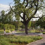 Vitra. Piet Outdolf. Paisaje con naturaleza | vitra architecture park18