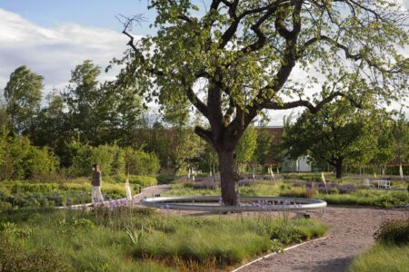 Vitra. Piet Outdolf. Paisaje con naturaleza | vitra architecture park18