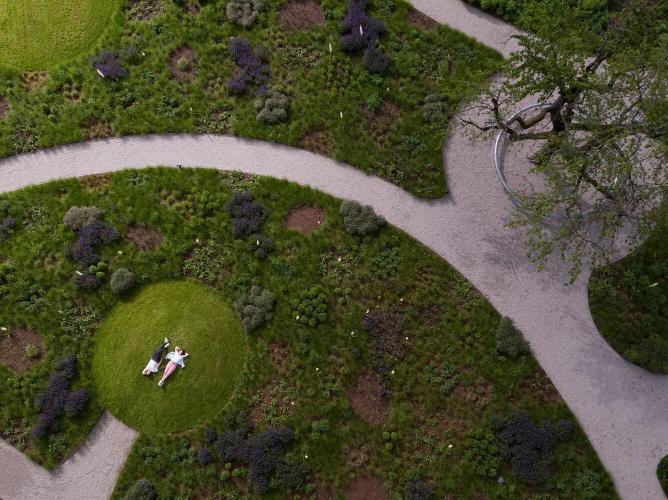 Vitra. Piet Outdolf. Paisaje con naturaleza | vitra architecture park20