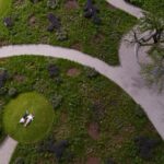 Vitra. Piet Outdolf. Paisaje con naturaleza | vitra architecture park20