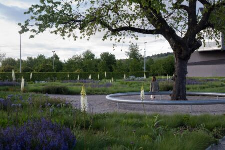 Vitra. Piet Outdolf. Paisaje con naturaleza | vitra architecture park21