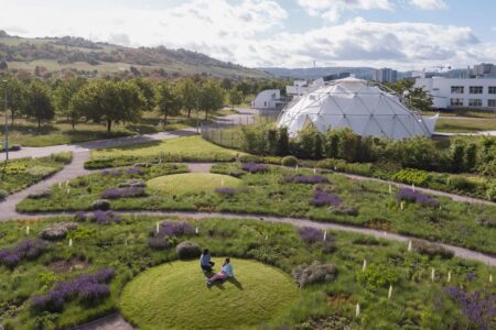 Vitra. Piet Outdolf. Paisaje con naturaleza | vitra architecture park25