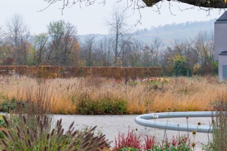 Vitra. Piet Outdolf. Paisaje con naturaleza | vitra architecture park3