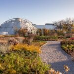 Vitra. Piet Outdolf. Paisaje con naturaleza | vitra architecture park4