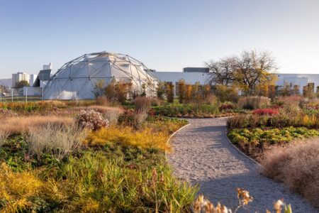 Vitra. Piet Outdolf. Paisaje con naturaleza | vitra architecture park4