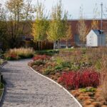 Vitra. Piet Outdolf. Paisaje con naturaleza | vitra architecture park5