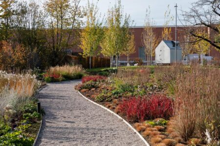 Vitra. Piet Outdolf. Paisaje con naturaleza | vitra architecture park5
