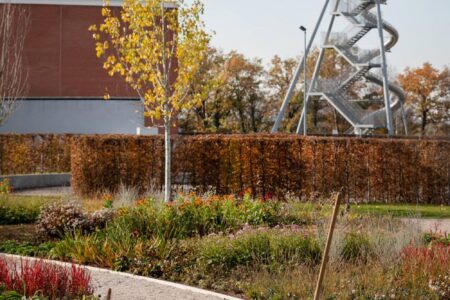 Vitra. Piet Outdolf. Paisaje con naturaleza | vitra architecture park7