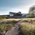 Vitra. Piet Outdolf. Paisaje con naturaleza | vitra architecture park9