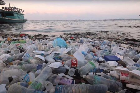 GreenPeace. Activismo digital | wasteminster6