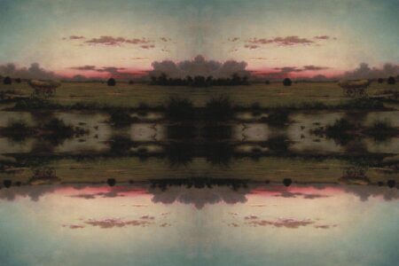 Museo Thyssen-Bornemisza. Walid Raad | walid raad heade roomdiseno4