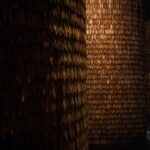 Valencia Pavilion. MUT Design. Madrid Design Festival 2021 | world design capital valencia 8 feb 2021_ 19