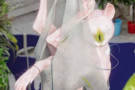 Xenotransplantation. Jingxin Wang. . MMMAD. Festival de arte digital de Madrid 2022 | xenotransplantation jingxin wang