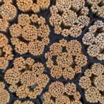 Pabellón Xylem. Diébédo Francis Kéré. Premio Pritzker 2022 | xylem_fka_19 07_1056