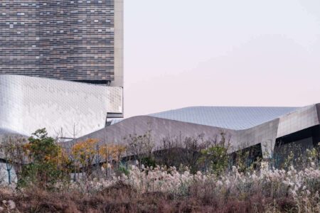 Yangtze River International Conference Center. Morphosis Architects. Edificio de titanio | yangtze_river_international_conference_center morphosis roomdiseno4