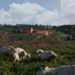 Centro de arte. Guggenheim. Yunnan | yunnan7