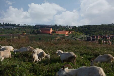 Centro de arte. Guggenheim. Yunnan | yunnan7