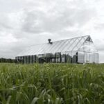 restaurante sueco. Norm Architects. invernadero de cristal | ang roomdiseno5
