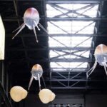 Tate Modern. Anicka Yi | anicka yi roomdiseno