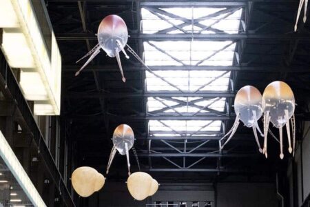 Tate Modern. Anicka Yi | anicka yi roomdiseno