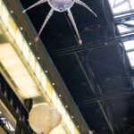 Tate Modern. Anicka Yi | anicka yi roomdiseno1