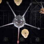 Tate Modern. Anicka Yi | anicka yi roomdiseno11
