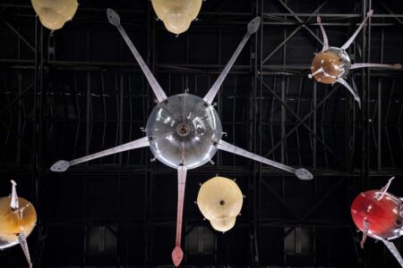 Tate Modern. Anicka Yi | anicka yi roomdiseno11