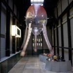 Tate Modern. Anicka Yi | anicka yi roomdiseno5