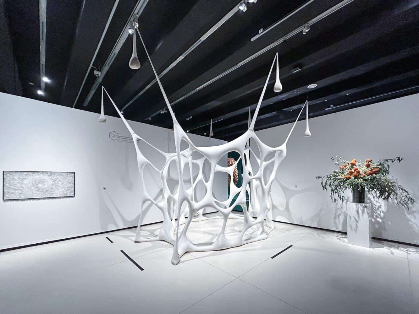 Arte y naturaleza. Un siglo de biomorfismo