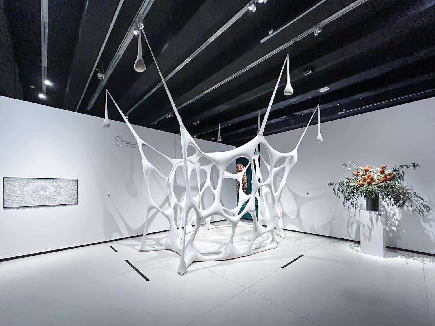 Arte y naturaleza. Un siglo de biomorfismo