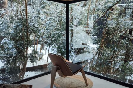 cabañas de madera, madera quemada | casa gallareta15