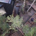 cabañas de madera, madera quemada | casa gallareta9