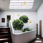 Tatiana Bilbao. Casa Ventura | casa ventura5