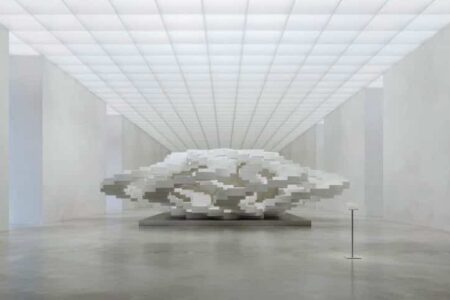 OMA Architects. obra NFT. Ecosistema acuático. coral arena | charlotte taylor roomdiseno1