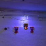 Dutch Design Week. Design Academy de Eindhoven | dutch_design_week roomdiseno1