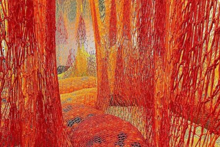 SunForceOceanLife. Ernesto Neto. MFAH Houston | ernesto neto6