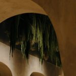 Flowers by Bornay | flowers_by_bornay2