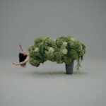 Flowers by Bornay | flowers_by_bornay3
