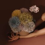 Flowers by Bornay | flowers_by_bornay5