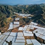 El Ejido. Foto: Edward Burtynsky. Stefano Boeri Architetti. Green obsessions | green obsession_170x240_4_11_2021 indd