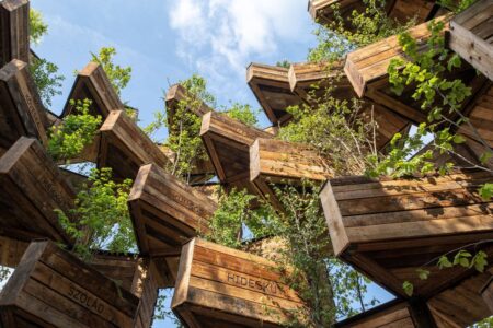 Jardín vertical, Capital Europea de la Cultura, Hello Wood | hello wood8
