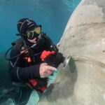 Jason Decaires Taylor. Museo submarino | jason decaires taylor roomdiseno8