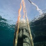 Jason Decaires Taylor. Museo submarino | jason decaires taylor roomdiseno9