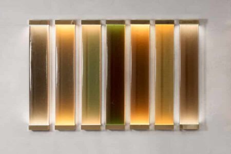 Jud. Transparency Matters Collection. Draga & Aurel | jud 3