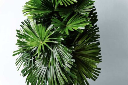 Leaf Man. El arte floral de Azuma Makoto | leaf_man azuma_makoto roomdiseno