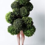 Leaf Man. El arte floral de Azuma Makoto | leaf_man azuma_makoto roomdiseno2